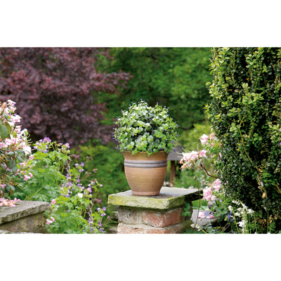 Artificial Topiary Ball With Purple Flowers 12 / 30cm diameter