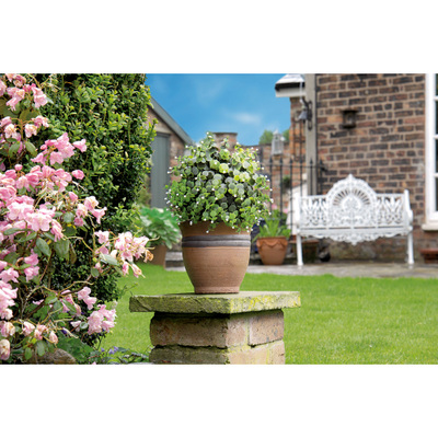 Artificial Topiary Ball With White Flowers 12 / 30cm diameter