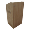 AV Lectern 10