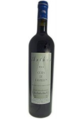 Chateau Arthus Cotes de Castillon