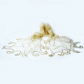 Ivory Beaded Organza Silk Shawl