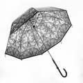 Black Umbrella  U01
