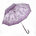 Purple Umbrella U05