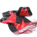 Red and Black Bag and Scarf