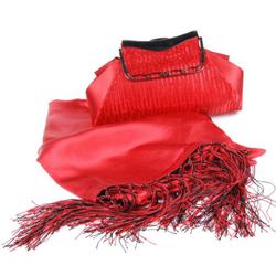 Red Silk Scarf and Bag