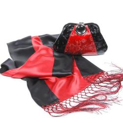 Red and Black Bag and Scarf