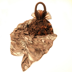 Silk Scarf &  Bag