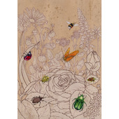 Common Garden Insects