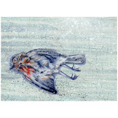 Winter Robin