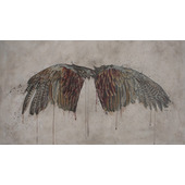 Wings