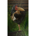 the rooster, acrylic on canvas, 2011, 60x34 inch, sabrina&copy;