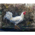white rooster, oil on canvas, 2011, 16x20 inch, jonathan gladding&copy;