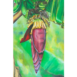 see me, see me now, acrylics on canvas, 2010, 36x24 inches, donna gomez grandin&copy;