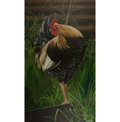 the rooster, acrylic on canvas, 2011, 60x34 inch, sabrina&copy;