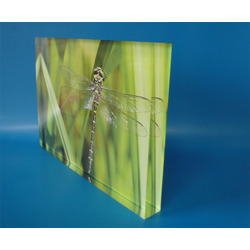 125mm x 280mm Acrylic Photo Block - 20mm Thick