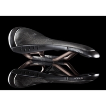 Fizik Kurve Bull saddle