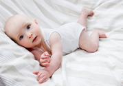 babypheonixchair
