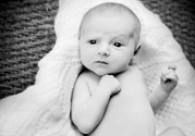 babyhomeshootbasket