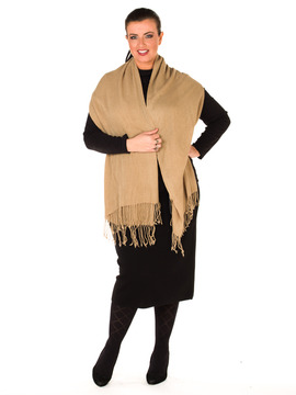 Pashmina Camel Colour